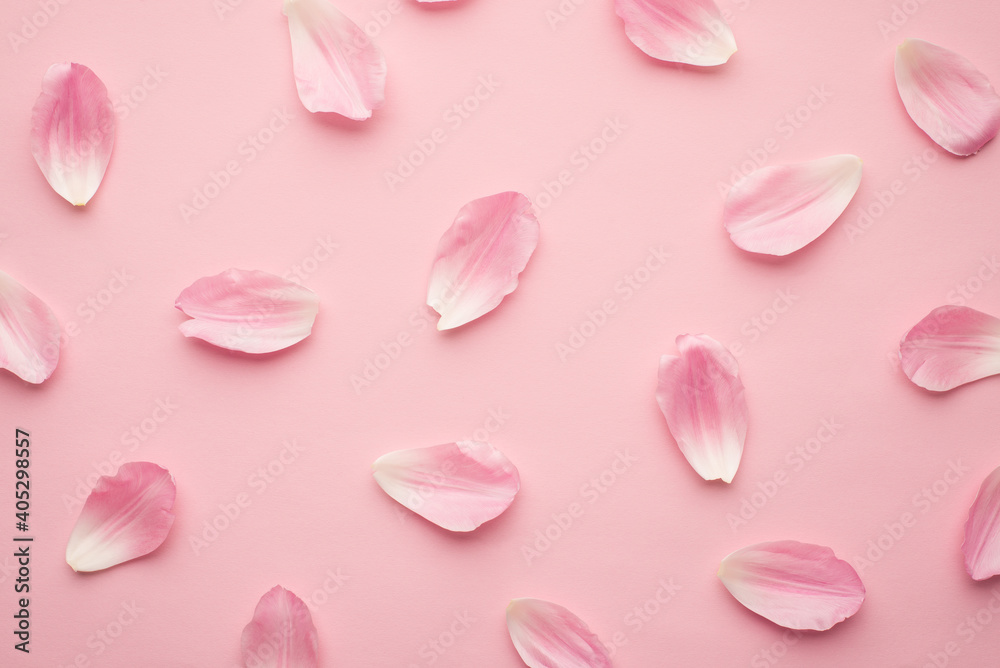 Flat lay top close up overhead above view photo of tender pastel fresh silky petals of tulip isolated pink backdrop Flat lay top close up overhead above view photo of tender pastel fresh silky petals of tulip isolated pink backdrop