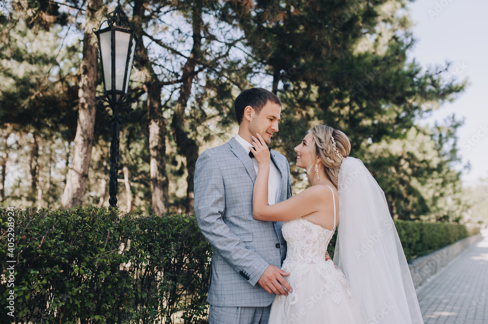 The groom in a gray checkered suit and the blonde bride in a white lace dress tenderly hug in the park on the boulevard. Wedding portrait of newlyweds in love. The groom in a gray checkered suit and the blonde bride in a white lace dress tenderly hug in the park on the boulevard. Wedding portrait of newlyweds in love.