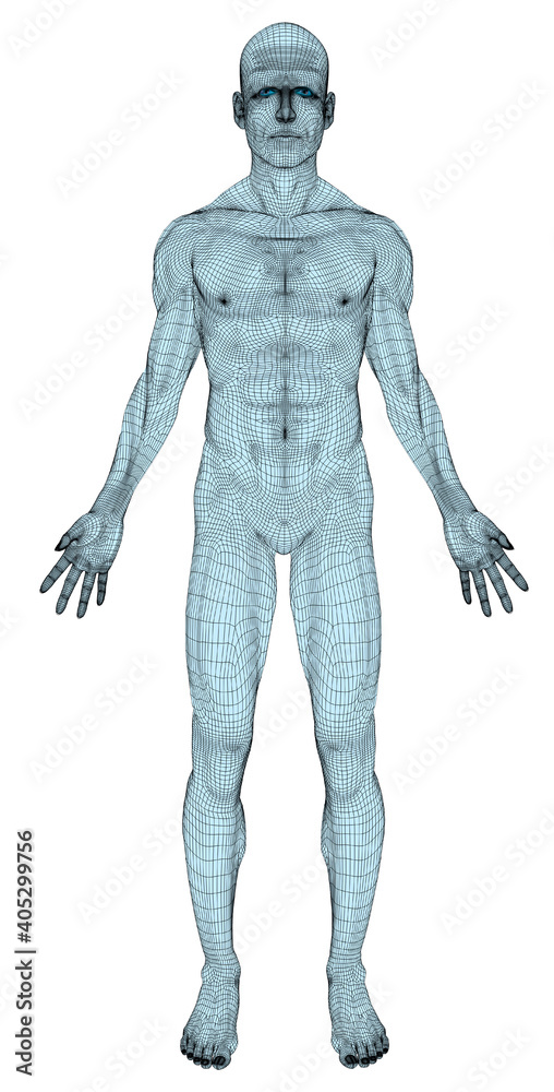 Conceptual image of trans-sexual human body Conceptual image of trans-sexual human body