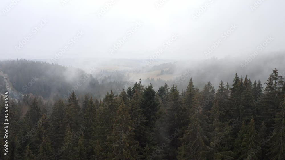 Mysterious forest covered by low clouds in autumn. Atmospheric nature scenery with coniferous trees and fog from aerial perspective. Slow dolly shot of wilderness with overcast sky. Mysterious forest covered by low clouds in autumn. Atmospheric nature scenery with coniferous trees and fog from aerial perspective. Slow dolly shot of wilderness with overcast sky.