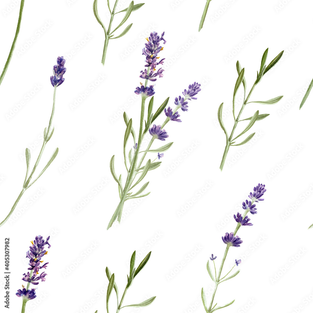 Obraz premium Lavender flowers seamless pattern isolated on white background. Watercolor hand drawing botanical illustration. For card, wallpaper, packaging, invitation