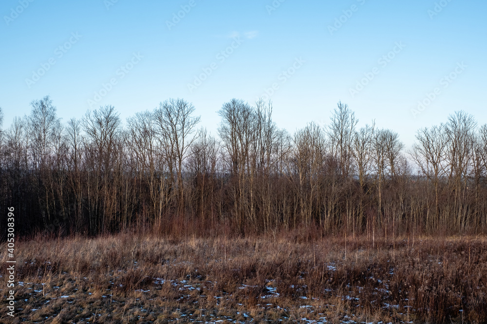 cereal field in winter with a little white layer of snow on it cereal field in winter with a little white layer of snow on it
