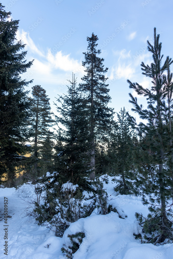 Winter view from hiking Trail to Malyovitsa peak, Rila Mountain