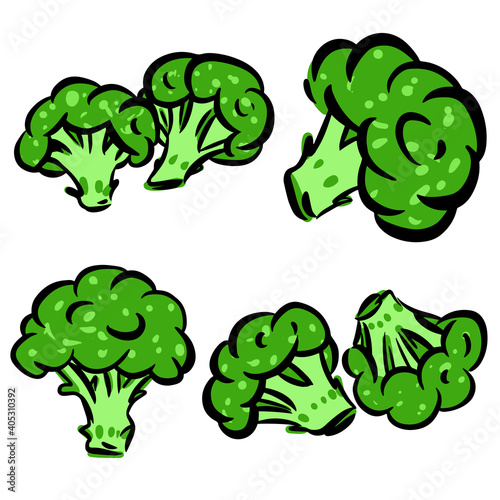 Broccoli set vector illustration in modern style. Hand drawn broccoli illustration for packing design  eco food