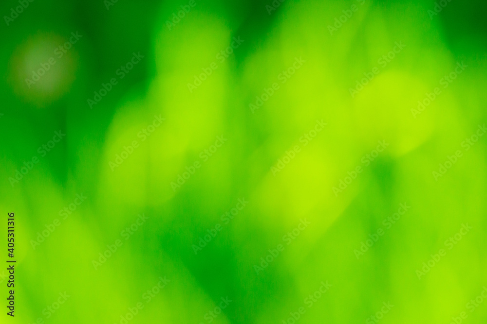 Obraz premium Natural grass green blurred background.