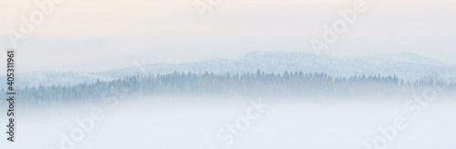 Misty winter panorama landscape with frost covered forest trees