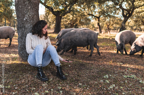 Woman showing acorn to Iberian pig grazing in background at farm photo