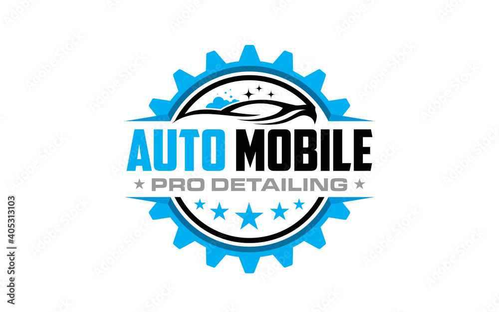 Illustration vector graphic of auto detailing servis logo design template-06