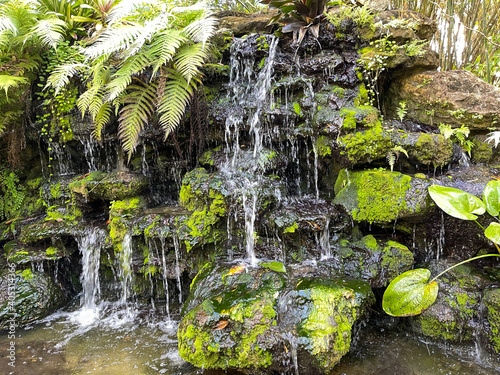 Fototapeta Naklejka Na Ścianę i Meble -  A tropical waterfall in a botanical garden