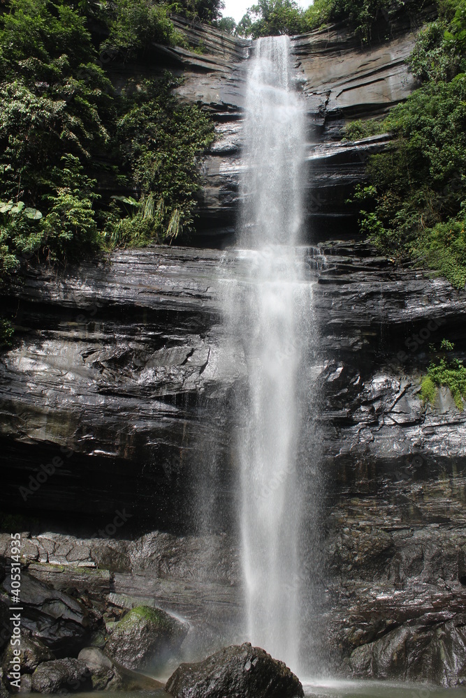 Obraz premium waterfall in the forest
