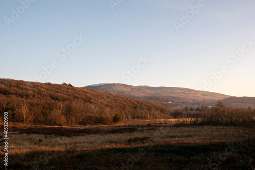 a view at Ynys-hir of the bog lands with the mountain behind furnace on the horizon