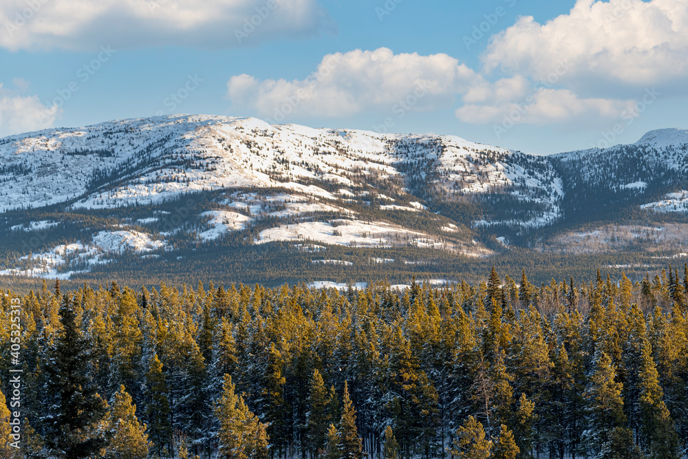 Obraz premium Stunning winter landscape in northern Canada during snowy, freezing cold season. Stunning winter landscape in northern Canada during snowy, freezing cold season. Snow covered mountains above a boreal 