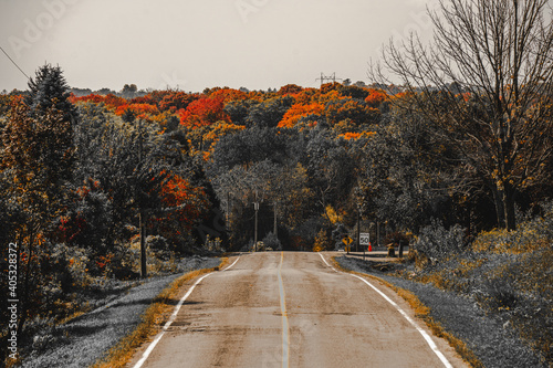 Autumn road
