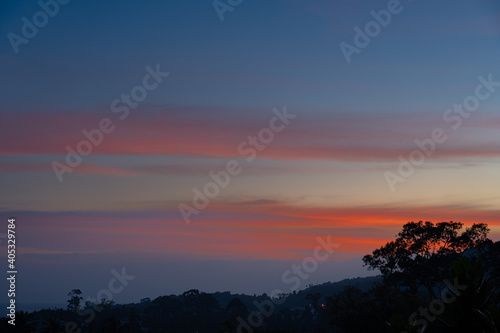 Silhouette of a large tree against the sky at sunset. View from balcony.