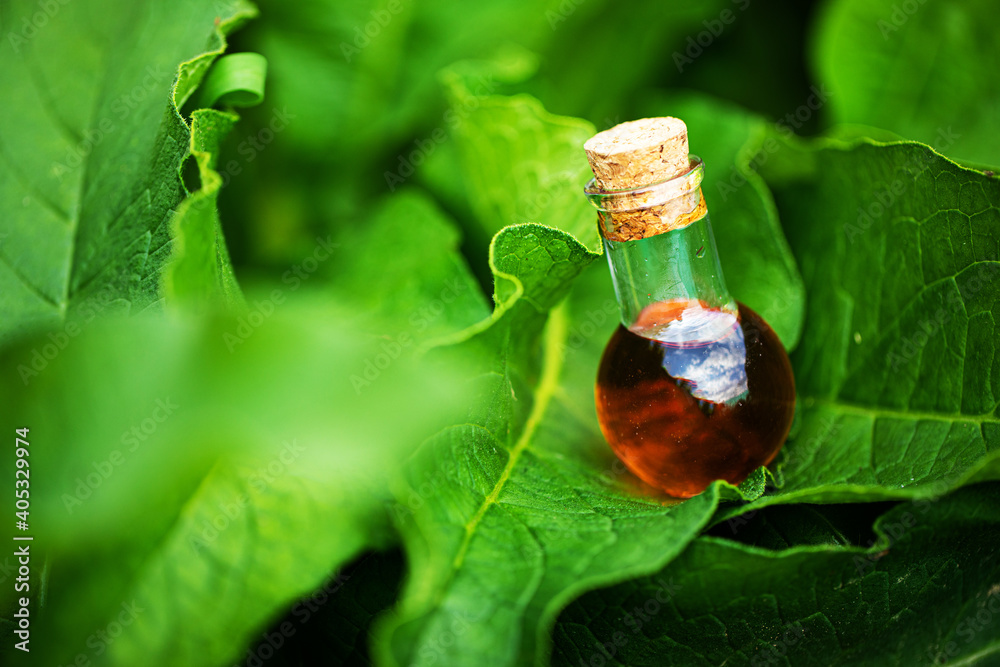 Oil bottle. Spa. Herbal. Oil bottle. Spa. Herbal.