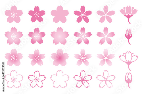 桜の花のカラーアイコンセット/白背景