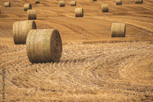Hay Bales
