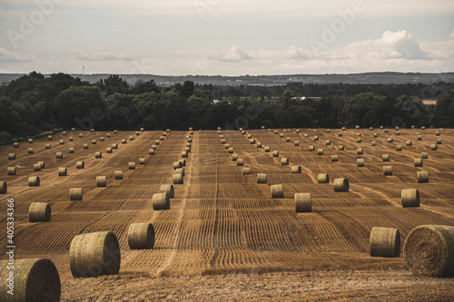 Hay Field