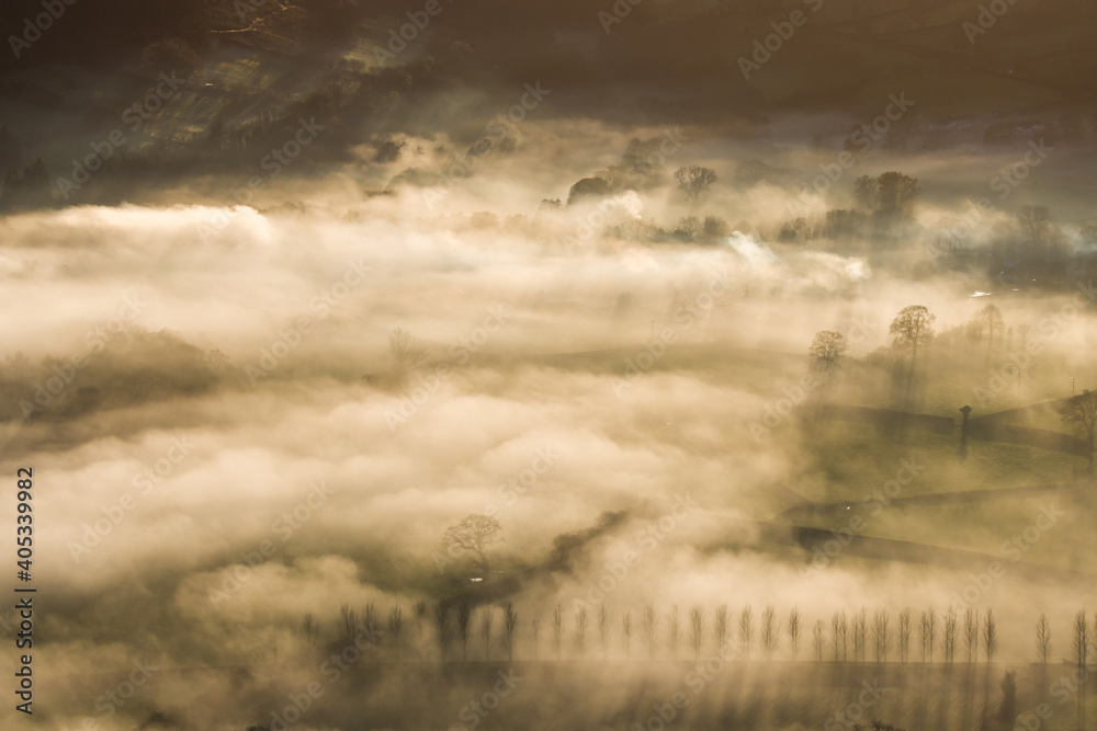 Long shadows of trees emerging through fog in a beautiful rural valley Long shadows of trees emerging through fog in a beautiful rural valley
