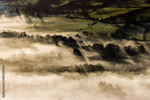 Trees emerging from a fog filled valley in early evening light