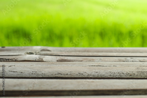 Wooden board empty table in front of blurred background. Wood table over green rice plant in field for mock up display or montage your products.Table background and spring time.Blur green field nature