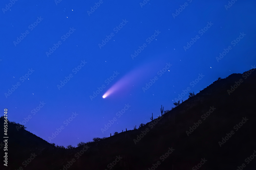 Comet Neowise Screaming Down the Mountain
