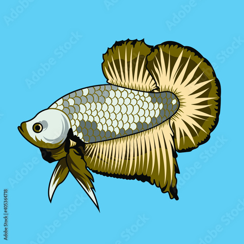 The Siamese fighting fish, also known as the betta, is a freshwater fish native to Thailand and present in neighboring Cambodia, Laos, Malaysia, and Vietnam