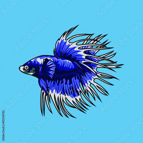 The Siamese fighting fish, also known as the betta, is a freshwater fish native to Thailand and present in neighboring Cambodia, Laos, Malaysia, and Vietnam