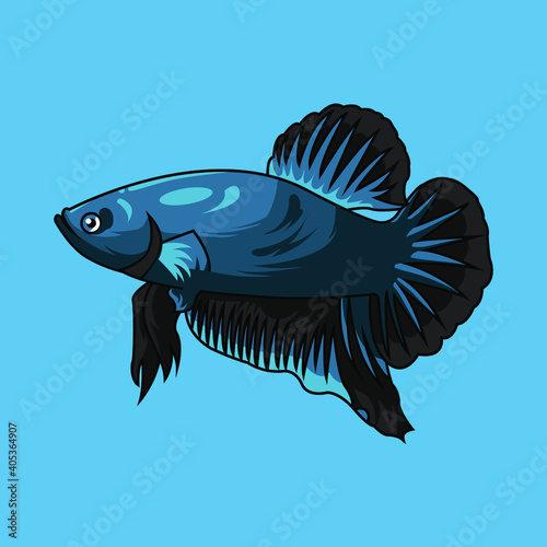 The Siamese fighting fish, also known as the betta, is a freshwater fish native to Thailand and present in neighboring Cambodia, Laos, Malaysia, and Vietnam
