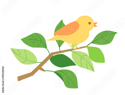 葉22　新緑　緑　枝　鳥　小鳥