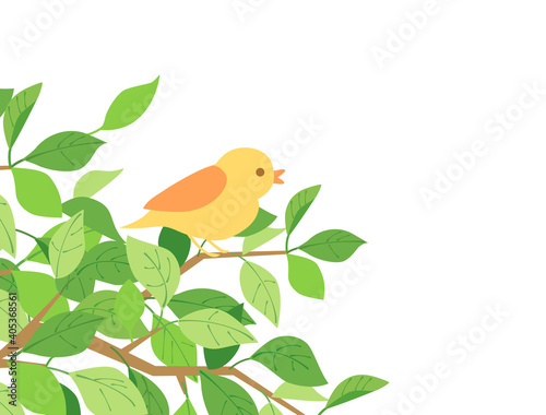 葉24　新緑　緑　枝　鳥　小鳥