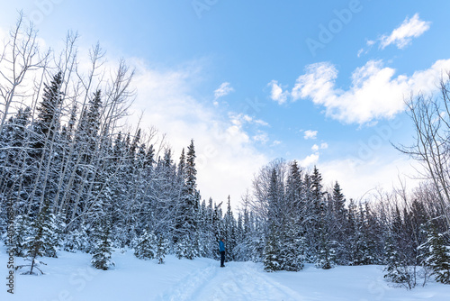 Man walking along a hiking trail in Canada with blue jacket and black jean pants in cold, freezing winter season surrounded by snow covered trees and boreal forest. 