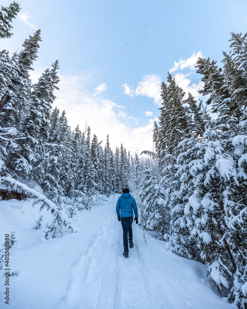 Man walking along a hiking trail in Canada with blue jacket and black jean pants in cold, freezing winter season surrounded by snow covered trees and boreal forest. 