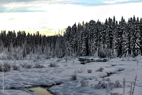 A stunning winter scene in Canada with a creek flowing through a snowy, snow covered winter boreal forest on a cloudy afternoon in January cold season.  © Scalia Media