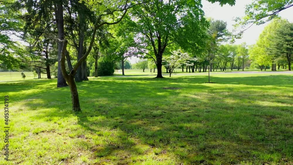 Pull Back View Through the Trees in Monmouth Battlefield State Park in New Pull Back View Through the Trees in Monmouth Battlefield State Park in New