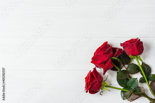 Red roses on a white wooden background. A fresh bright bouquet with drops of dew. Happy Valentine s Day  Happy Mother s Day. The concept of a Birthday  Anniversary  wedding. Top view  copy space