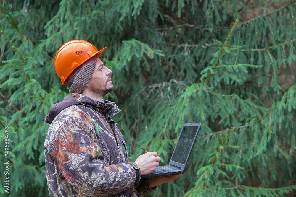 An ecologist with a computer in his hands observes the development of the forest. The concept of afforestation in forestry.