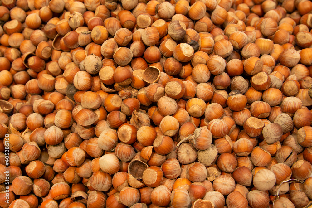 Forest nut background. Full and half of hazelnuts on white background top view. Isolated Forest nut background. Full and half of hazelnuts on white background top view. Isolated