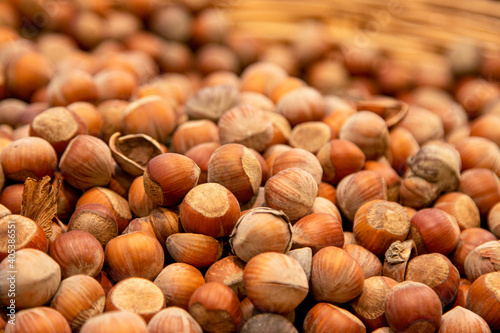 Forest nut background. Full and half of hazelnuts on white background top view. Isolated