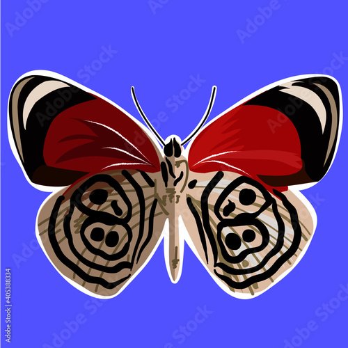 mariposa