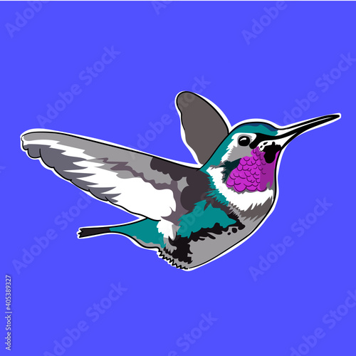 colibrí