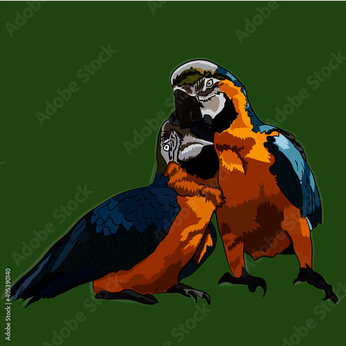 loros