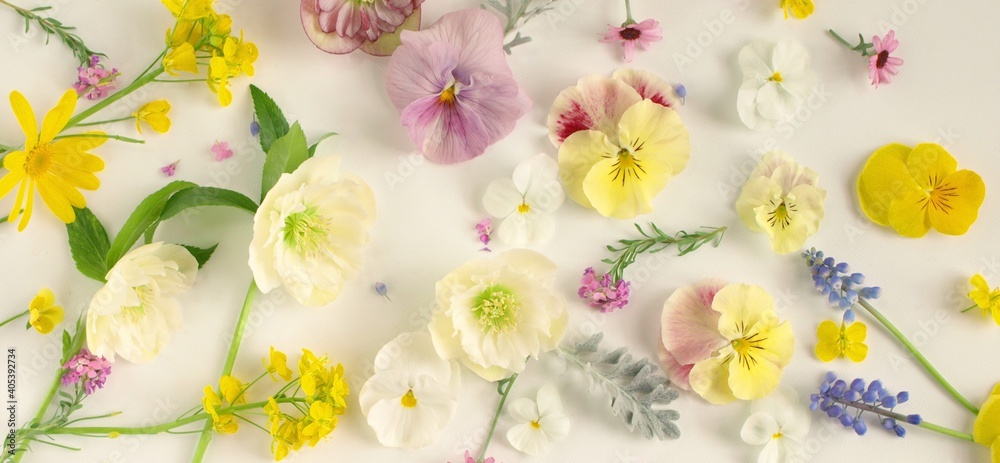 沢山の春の花 花びら ナチュラル 白背景 背景素材 ヘッダー素材 Stock Photo Adobe Stock