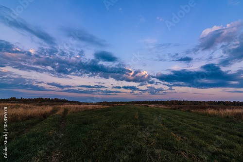 autumn evening landscape in a field with forest on the horizon