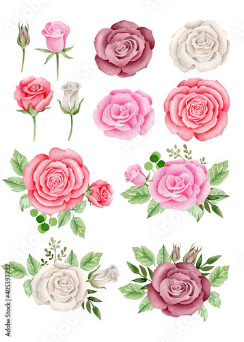 Set of roses Watercolor roses composition