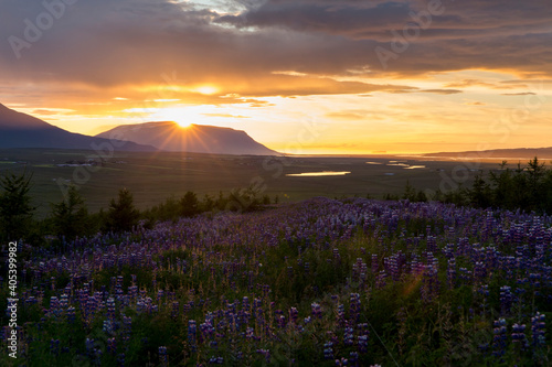 Mitternachtssonnen Varmahlid Island