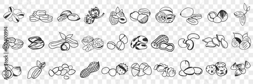 Various edible nut doodle set. Collection of hand drawn hazel, almond, pistachio, peanuts, cashew nuts and macadamia in shell for eating isolated on transparent background. Illustration of tasty snack