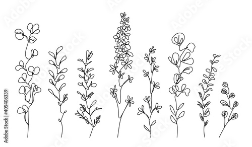 Continuous Line Drawing Set Of Plants Black Sketch of Flowers Isolated on White Background. Flowers One Line Illustration. Minimalist Prints Set. Vector EPS 10.