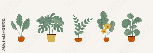 Indoor flowers and plants collection. Vector modern illustration