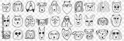 Dogs faces doodle set. Collection of hand drawn funny cute faces of dogs pets of different breeds and fur styles isolated on transparent background. Illustration of dogs breeds for kids